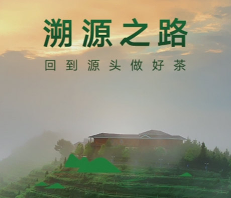 源头